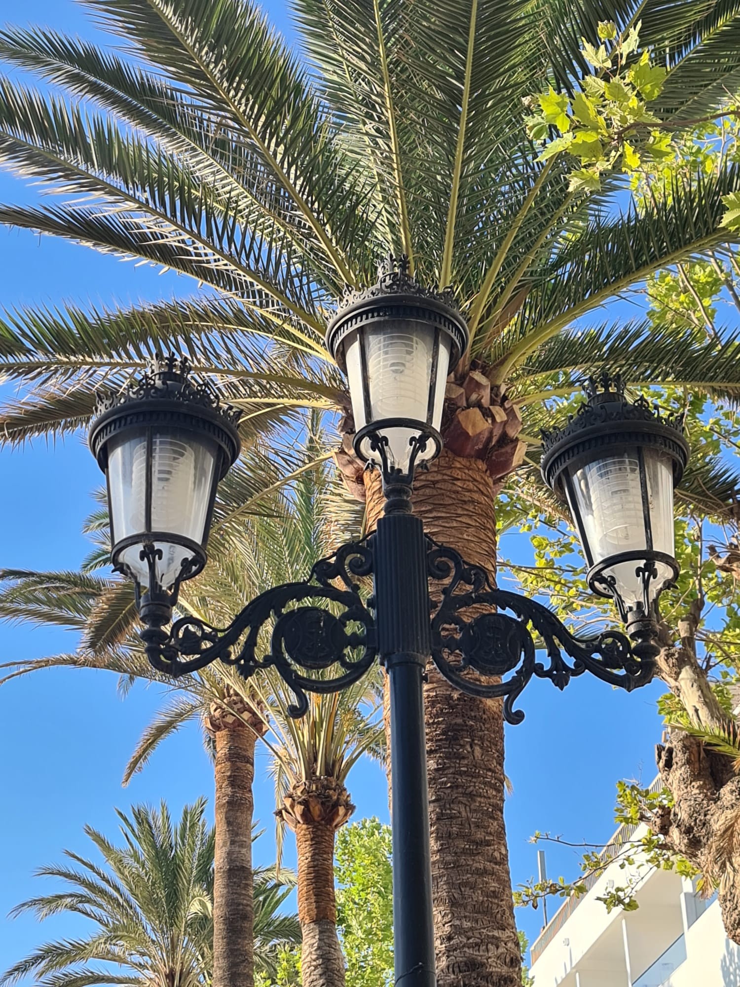 Multiplicamos los proyectos de sostenibilidad energética en la provincia de Málaga 