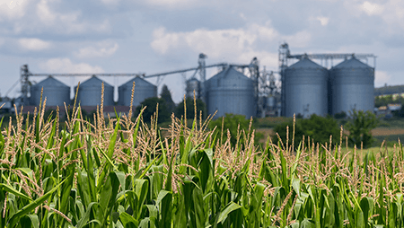 Energy solutions for the agri-food industry: efficiency and operational stability