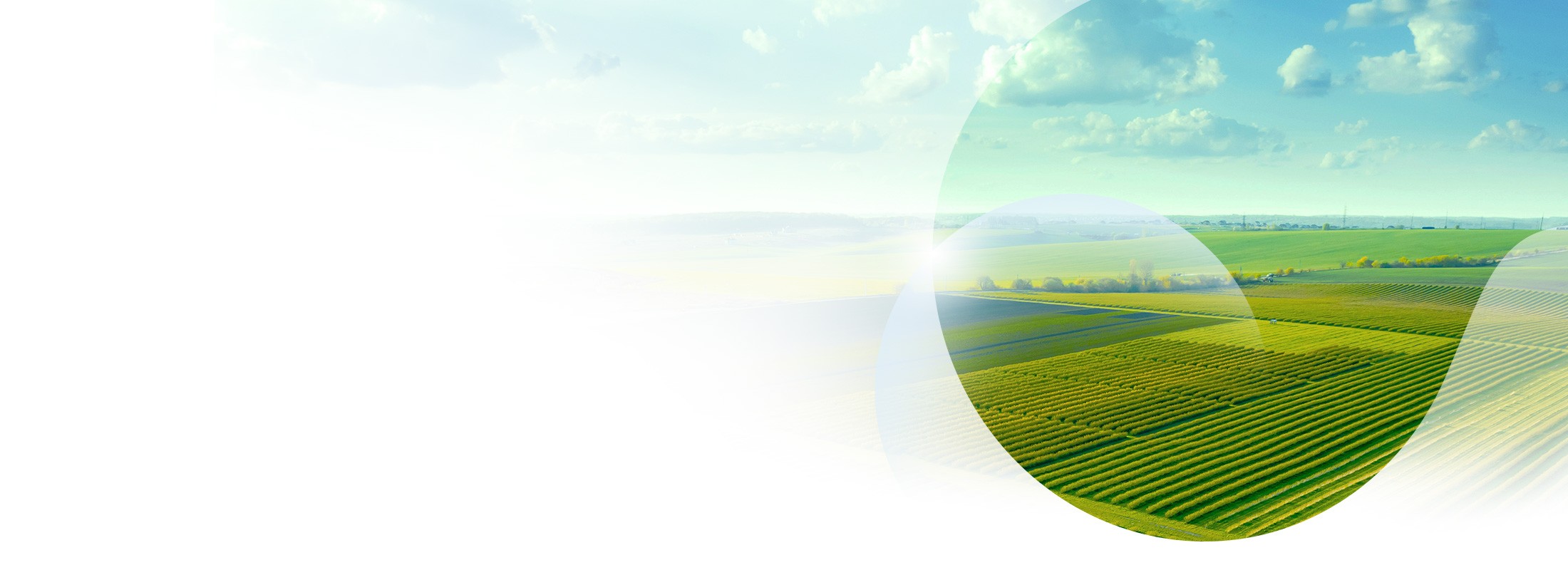 Socially Responsible Investment