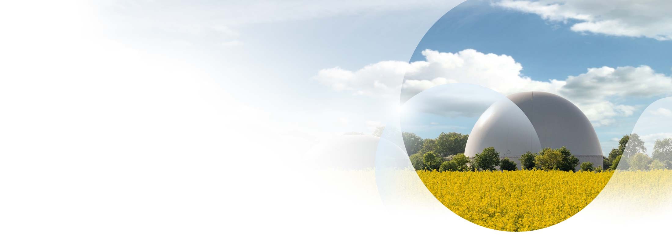 Edison Next adquiere a Iberdrola sus plantas de cogeneración para tratamiento de purines y una cartera de proyectos de biometano